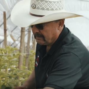 Farmer in hoop house