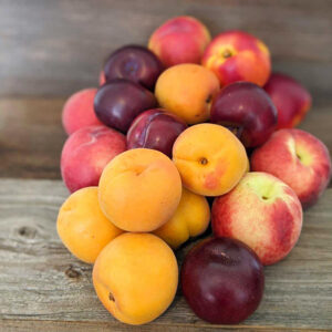 Pile of apricots, plums, and nectarines