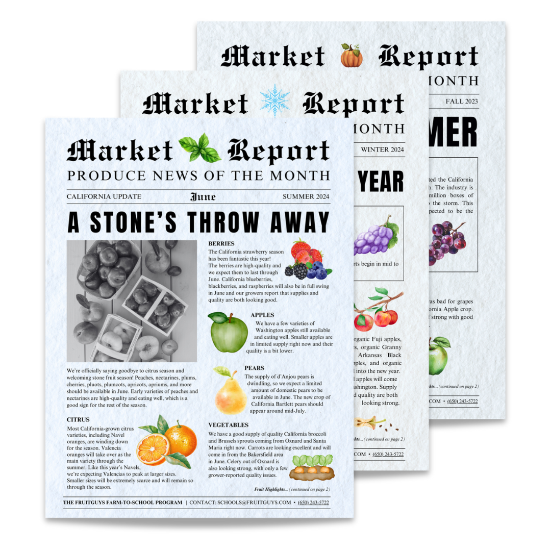 Monthly Market Reports