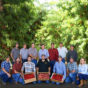 Kingsburg Orchards team in the orchard