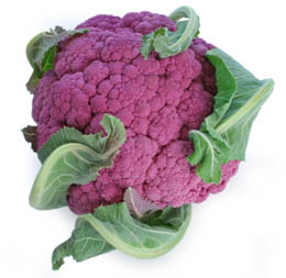 purple cauliflower